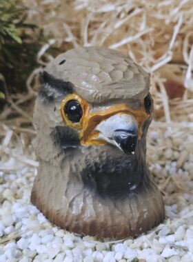 Burgfalken Stassberg 1