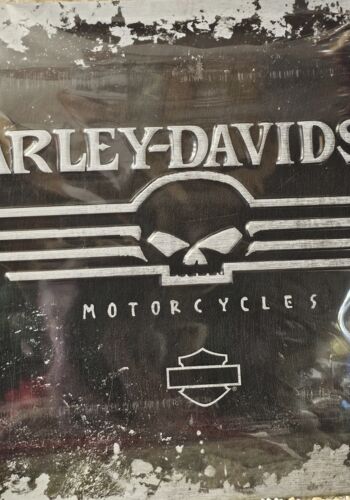 BLS1008 Blechschild Harley Davidson 2