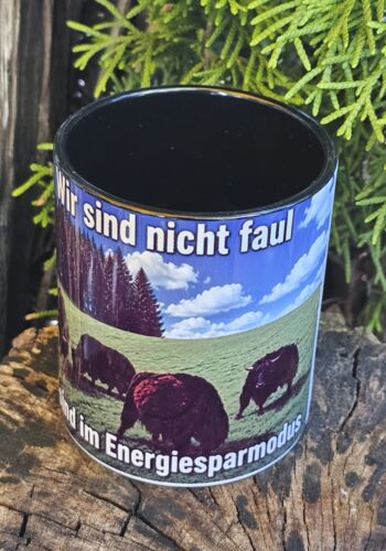 SWT10003 Schwarzwaldtasse Schwarzwald mit Spruch 1
